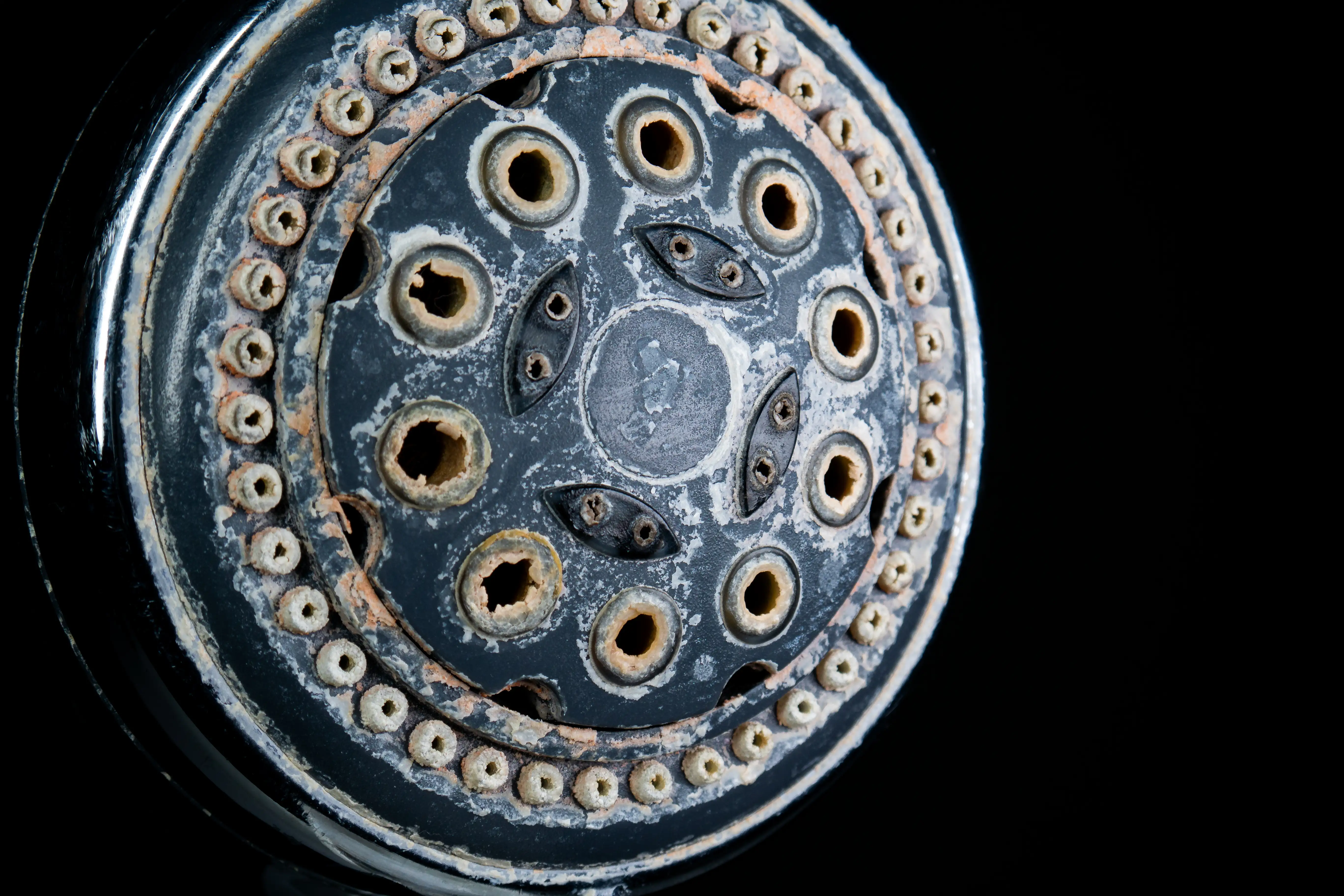 Severe mineral and scale buildup on a showerhead from Utah hard water